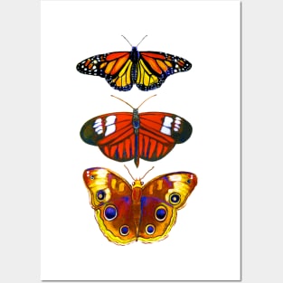 Watercolor Butterflies Posters and Art